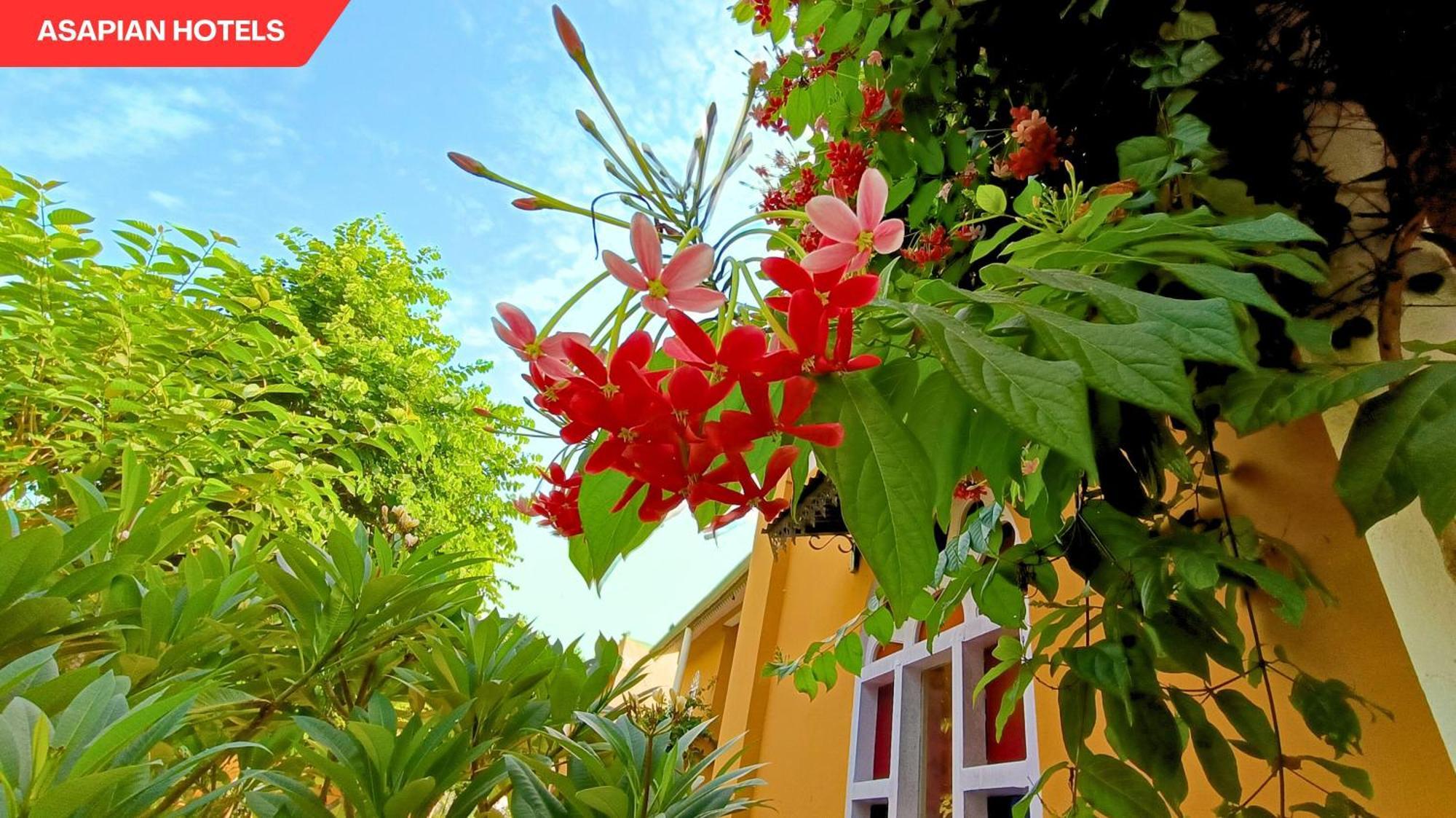 Anantvan Ranthambore By Asapin Hotels Khilchipur  Exterior photo